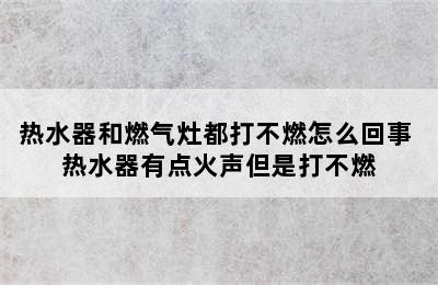 热水器和燃气灶都打不燃怎么回事 热水器有点火声但是打不燃